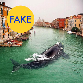 Illustration for article titled 7 More Viral Photos That Are Totally Fake